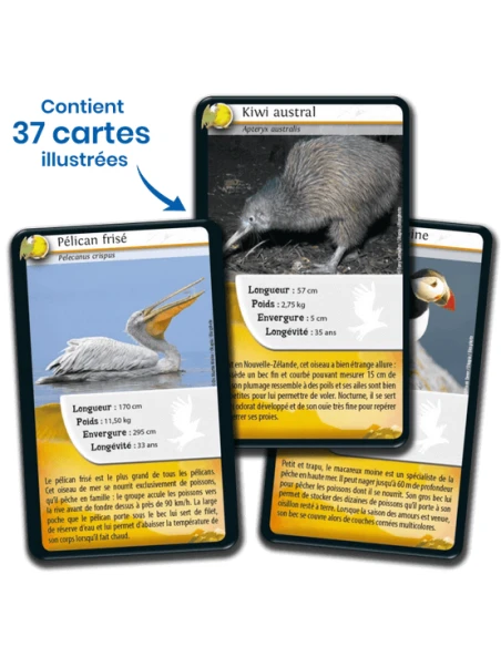 Défis Nature : Oiseaux 2023 4 Défis Nature : Oiseaux 2023 – Image 2