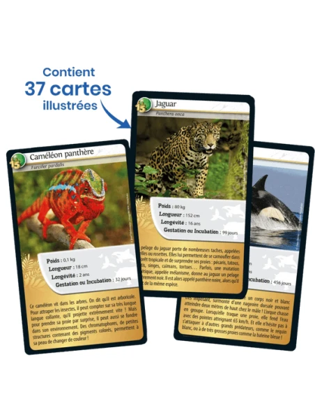 Défis Nature : 15e Anniversaire 4 Défis Nature : 15e Anniversaire – Image 2