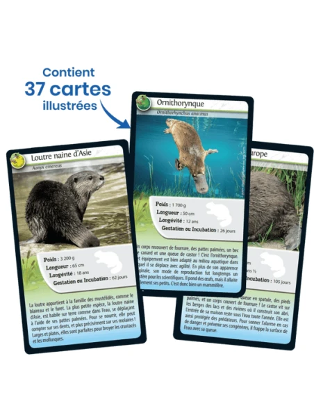 Défis Nature : Animaux D'eau Douce 4 Défis Nature : Animaux D'eau Douce – Image 2