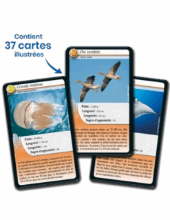 Défis Nature : Animaux Inspirants -Jeux Série Magasin defis nature animaux inspirants 4