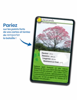 Défis Nature : Arbres Du Monde 10 Défis Nature : Arbres Du Monde -Jeux Série Magasin defis nature arbres du monde 3