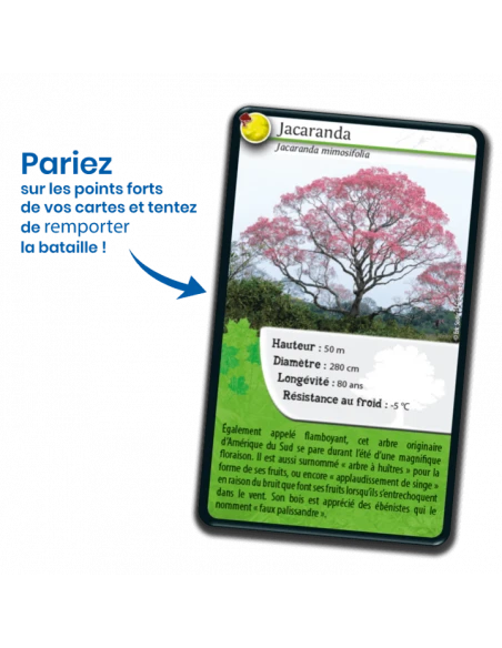 Défis Nature : Arbres Du Monde 6 Défis Nature : Arbres Du Monde – Image 4