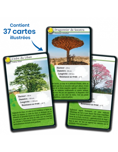 Défis Nature : Arbres Du Monde 7 Défis Nature : Arbres Du Monde – Image 5