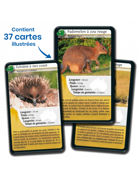 Défis Nature : Océanie 7 Défis Nature : Océanie – Image 5