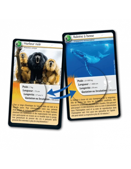 Défis Nature : Records Des Animaux 5 Défis Nature : Records Des Animaux – Image 3