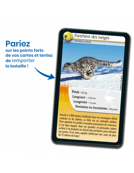 Défis Nature : Records Des Animaux 6 Défis Nature : Records Des Animaux – Image 4