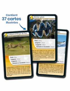 Défis Nature : Records Des Animaux 11 Défis Nature : Records Des Animaux -Jeux Série Magasin defis nature records des animaux 4