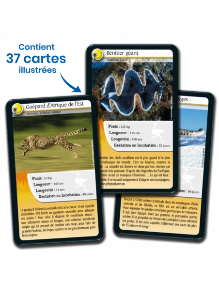 Défis Nature : Records Des Animaux 7 Défis Nature : Records Des Animaux – Image 5