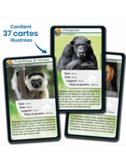 Défis Nature : Singes Et Autres Primates