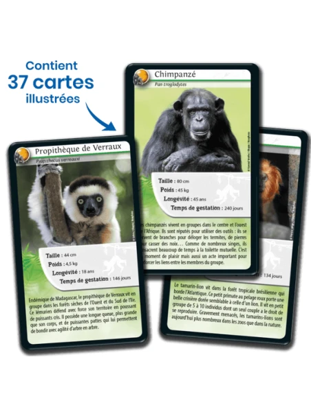 Défis Nature : Singes Et Autres Primates 3 Défis Nature : Singes Et Autres Primates