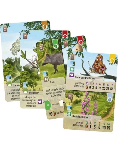 Forêt Mixte : Lisière De Forêt (Ext.) 4 Forêt Mixte : Lisière De Forêt (Ext.) – Image 2