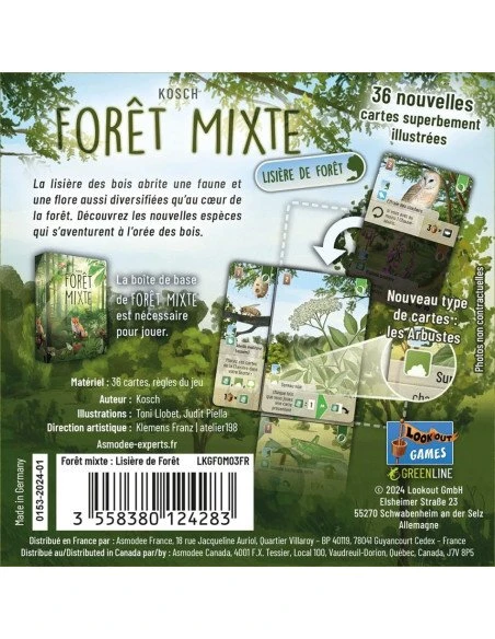 Forêt Mixte : Lisière De Forêt (Ext.) 5 Forêt Mixte : Lisière De Forêt (Ext.) – Image 3