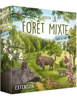Forêt Mixte : Lisière De Forêt (Ext.)