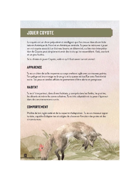 Le Coyote Et Le Blaireau 5 Le Coyote Et Le Blaireau – Image 3