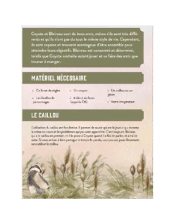 Le Coyote Et Le Blaireau 10 Le Coyote Et Le Blaireau -Jeux Série Magasin le coyote et le blaireau 3