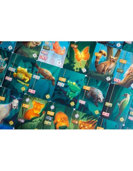 Living Forest 5 Living Forest – Image 3