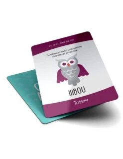 Totem (Nouvelle Version) -Jeux Série Magasin totem nouvelle version 2