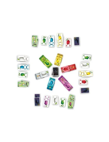 Tulip 4 Tulip – Image 2