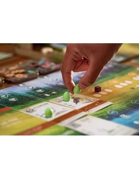 Matagot Wingspan 6 Matagot Wingspan – Image 4